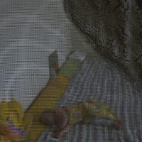 13_detail_3
