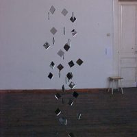 butterflies